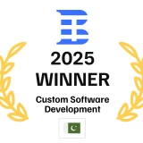 Top Custom Software Development Company 2025