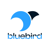 BlueBird Digital