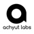 Achyut Labs