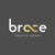 Brace Creative Agency