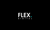 Flex Digital Agency