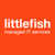 Littlefish Managed IT Services