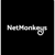 NetMonkeys Ltd