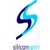 Silicon Spirit Consulting Group, Inc.