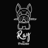 Ray the Frenchie