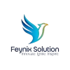 Feynix Solution
