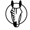Striped Horse