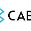 Cabot Technology Solution