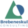 Brebeneskul Consulting