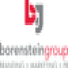 Borenstein Group, Inc.