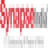 SynapseIndia