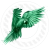 scaling parrots