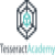 Tesseract Academy Tesseract Academy