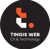 Tingis Web a customer experience (CX) agency: software development and digital marketing ????