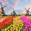 The Netherlands