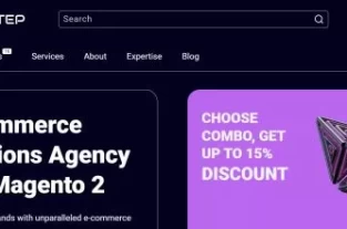 profstep.com homepage