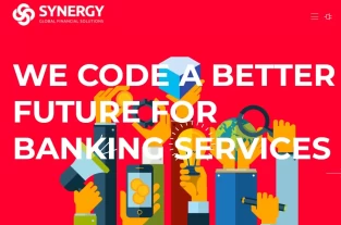 synergygfs.com homepage