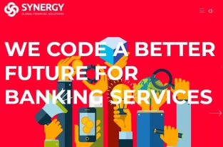 synergygfs.com homepage