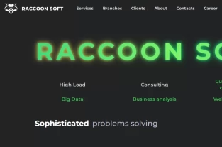 raccoonsoft.devhomepage