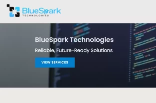 bluespark.ro homepage