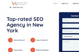 topnewyorkseo.companyhomepage