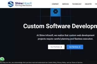 shineinfosoft.inhomepage