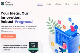 equestsolutions.net homepage