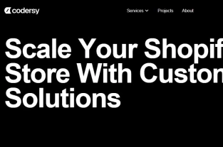 codersy.com homepage