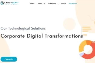 mebasoft.com homepage