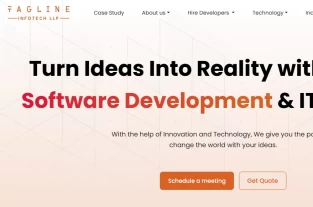 taglineinfotech.com homepage