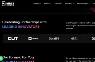 www.nimbleappgenie.comhomepage