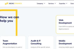 geckodynamics.comhomepage